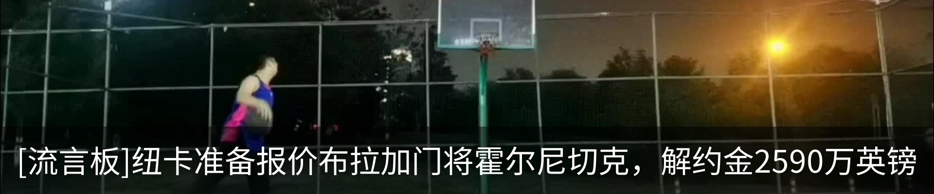 新闻动态